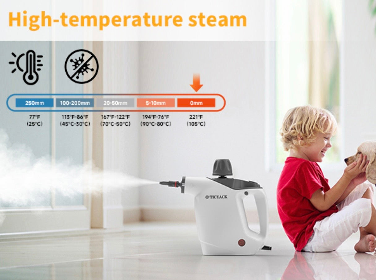 Handheld Steam Cleaner