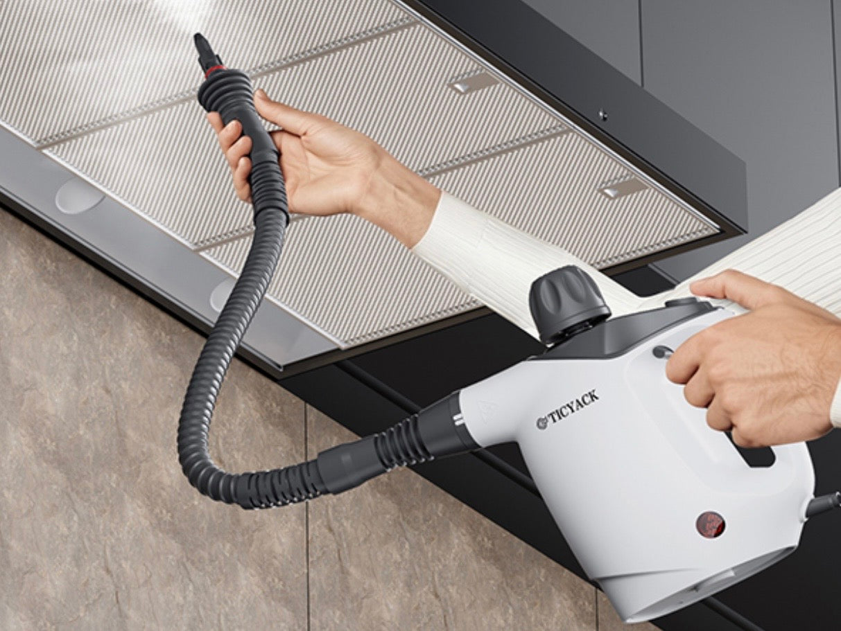 Handheld Steam Cleaner