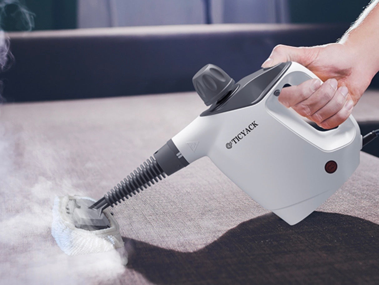 Handheld Steam Cleaner